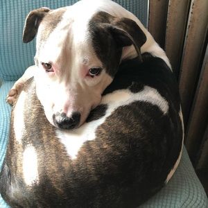 Meet your Posher, Neysa